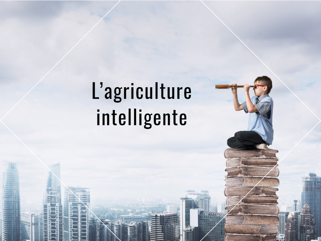 l'agriculture intelligente