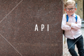 Application-Programming-Interface-API-Definition