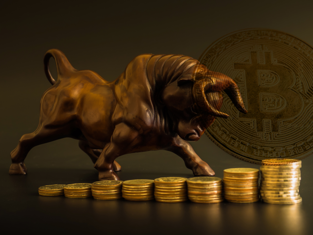 Bitcoin-Bull-Run