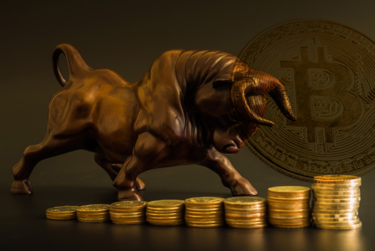 Bitcoin-Bull-Run